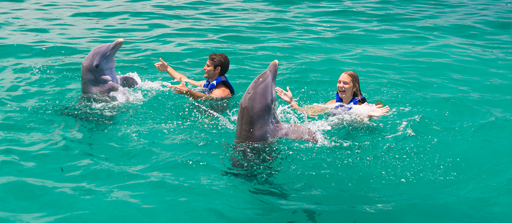 Dolphin Extreme Excursion