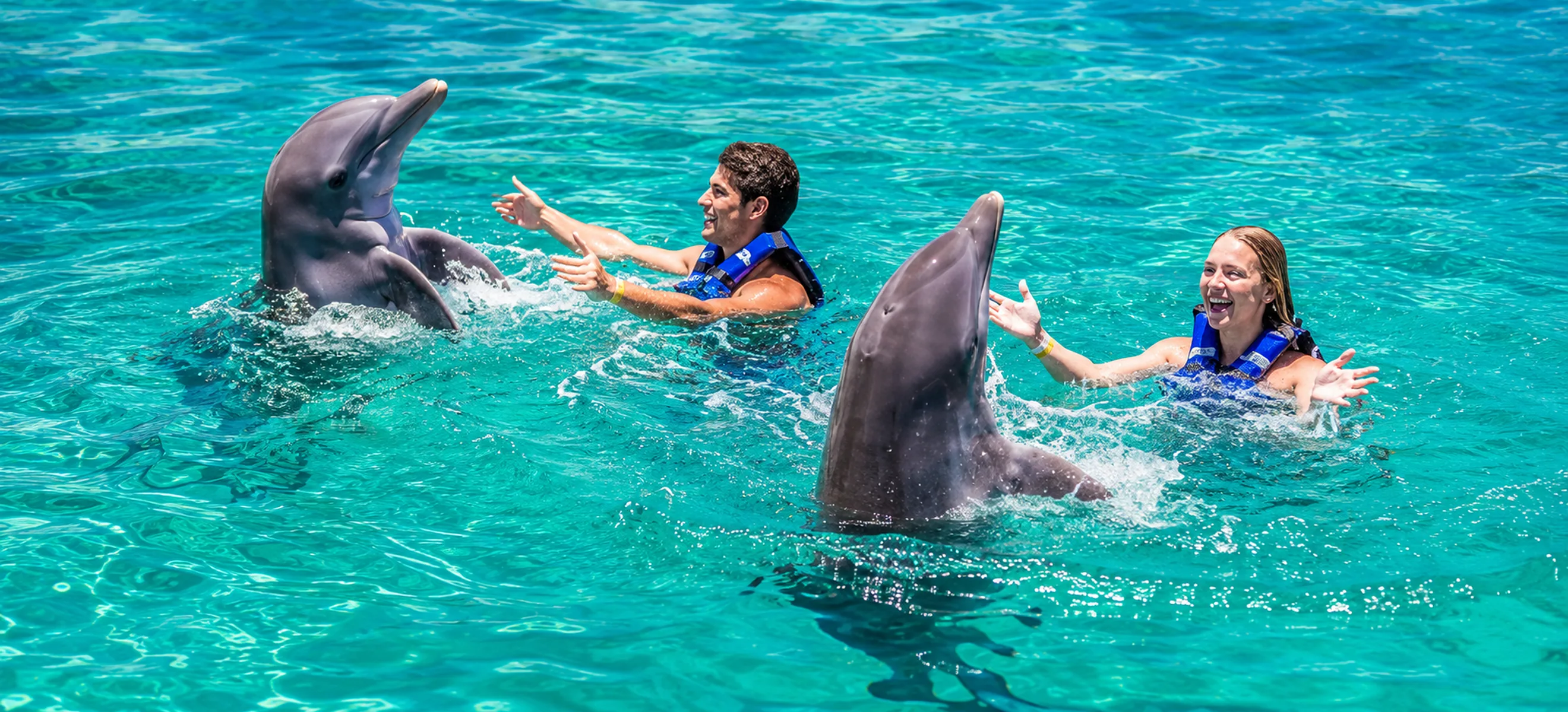 Guests interacting with two bottlenose dolphins during the Dolphin Excellence swim experience in Punta Cana, Dominican Republic.