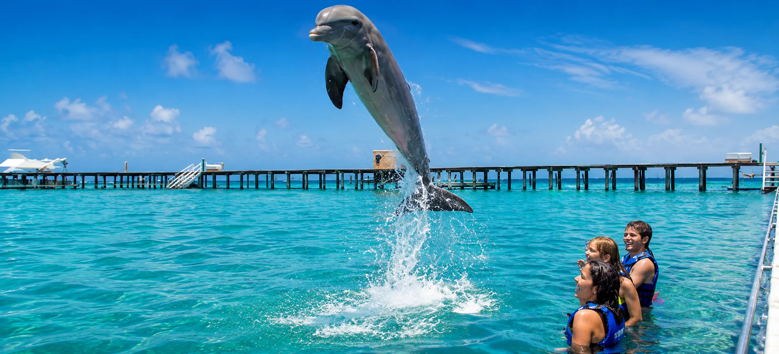 Bottlenose dolphin performing a spectacular jump during the Dolphin Funtastic excursion in Punta Cana, Dominican Republic.