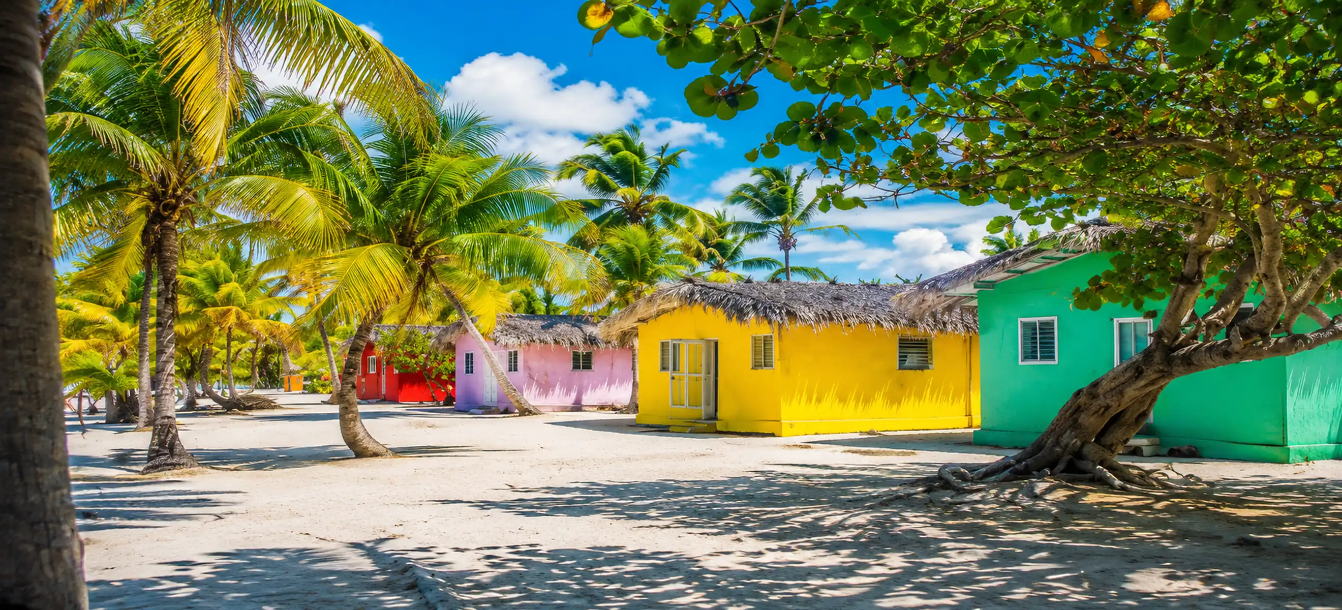 Traditional colorful Dominican village houses surrounded by palm trees near the beach in Punta Cana, showcasing authentic Caribbean culture and tropical scenery. 