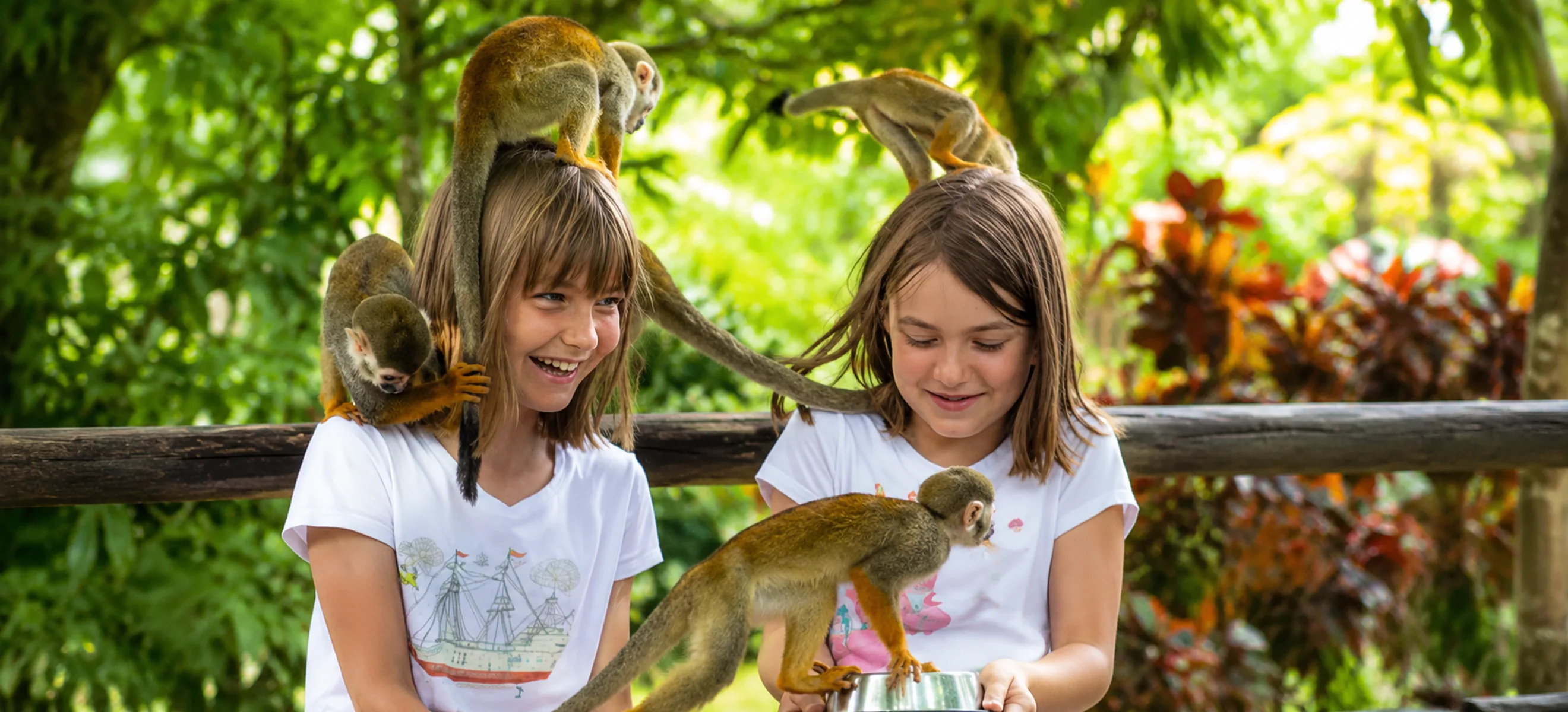 	Children enjoying a fun interaction with friendly squirrel monkeys during the Monkeyland Punta Cana excursion, one of the top family-friendly wildlife experiences in the Dominican Republic.