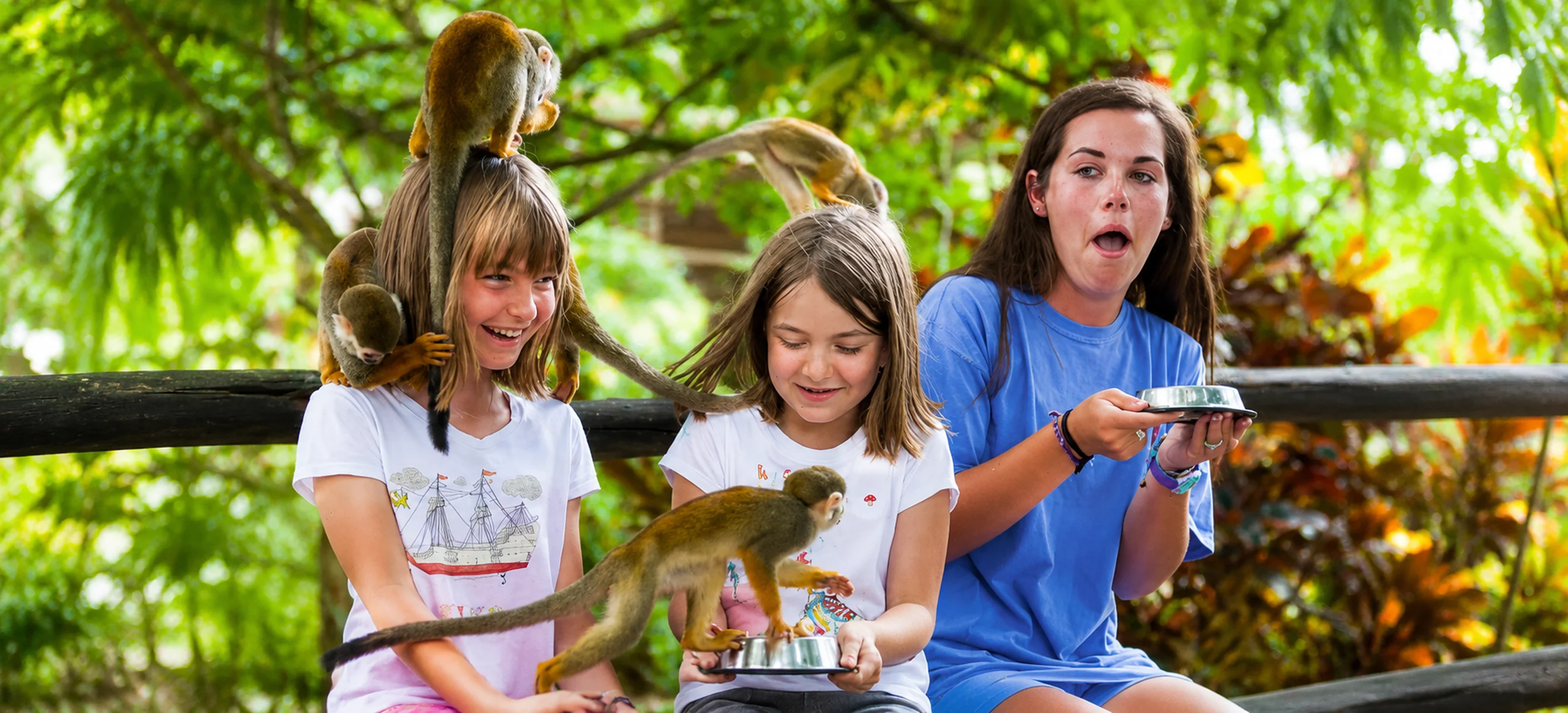 Three guests laughing as friendly squirrel monkeys climb on their shoulders and feed from their bowls during the Monkeyland Punta Cana family wildlife adventure in the Dominican Republic.