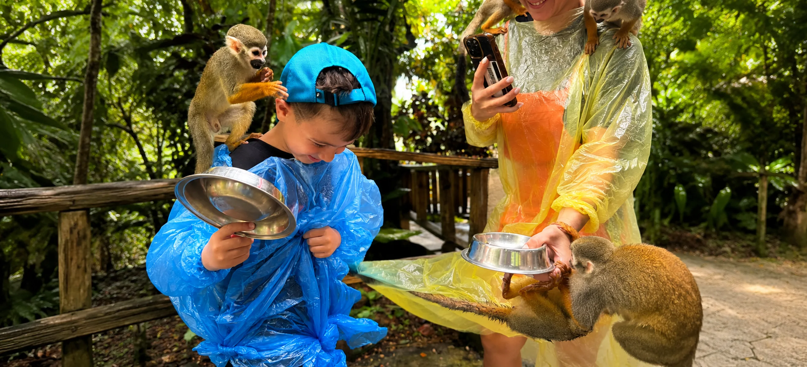 Child feeding friendly squirrel monkeys during the Monkeyland Punta Cana excursion, an unforgettable family-friendly wildlife adventure in the Dominican Republic.
