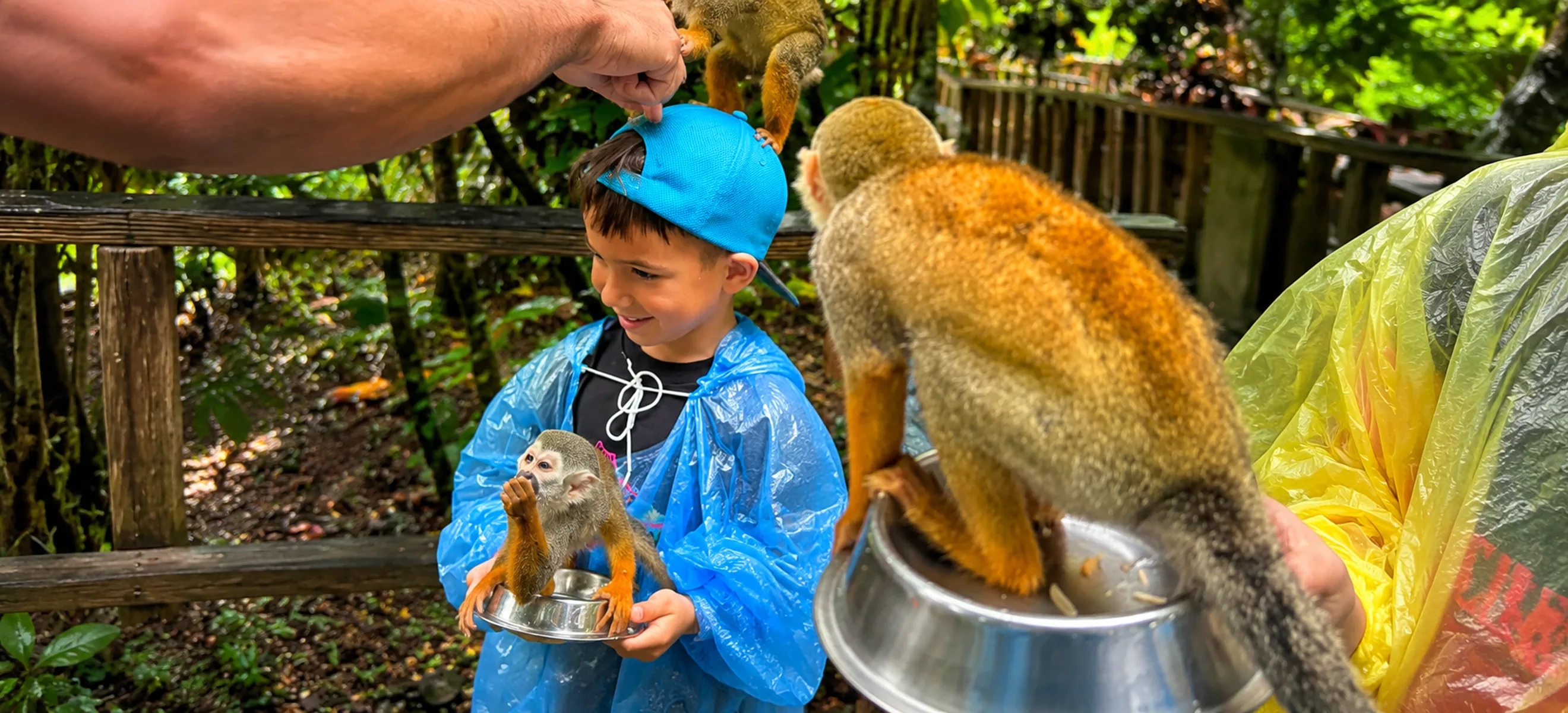 Young child and parent enjoying a close interaction with friendly squirrel monkeys during the Monkeyland Punta Cana family wildlife adventure in the Dominican Republic.