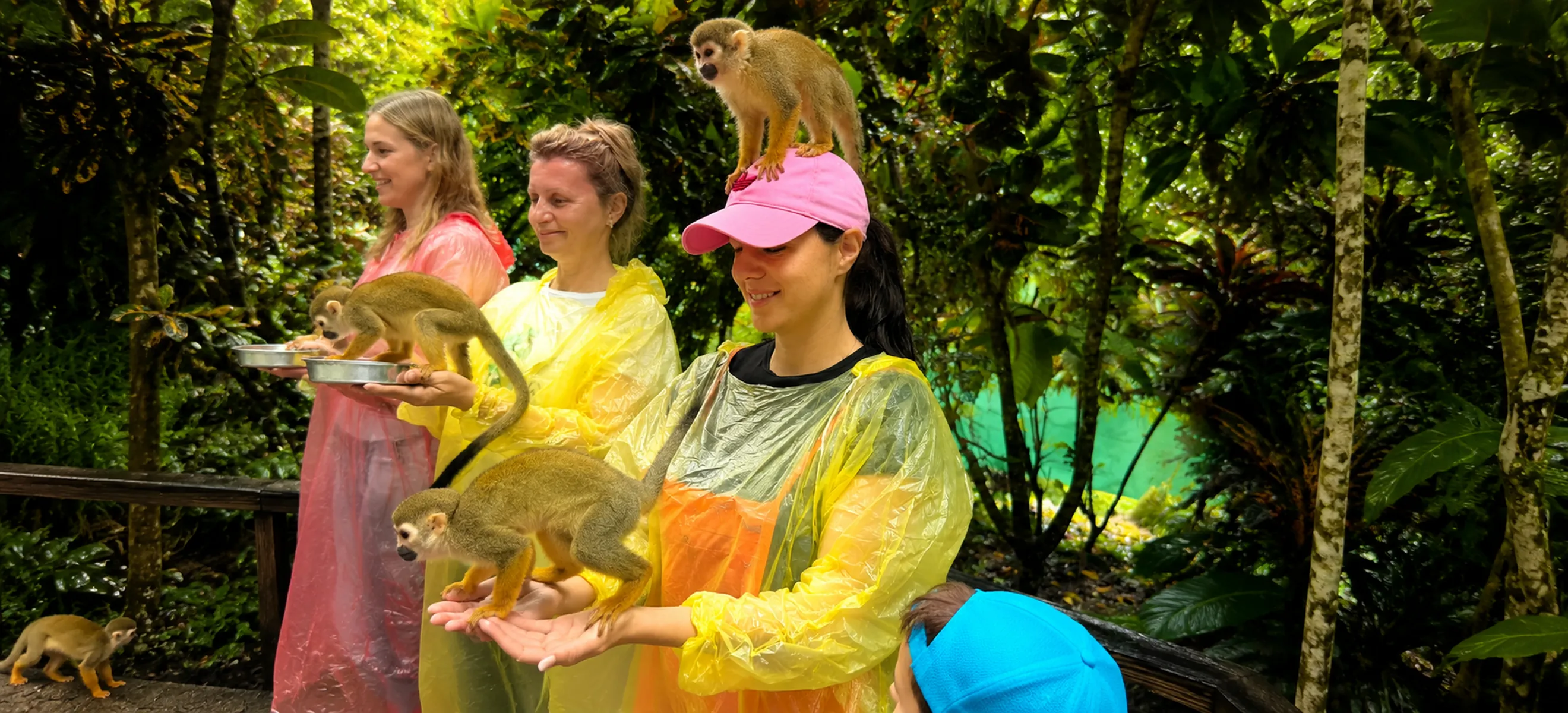 Visitors interacting with friendly squirrel monkeys in the lush rainforest at Monkeyland Punta Cana, enjoying one of the Dominican Republic