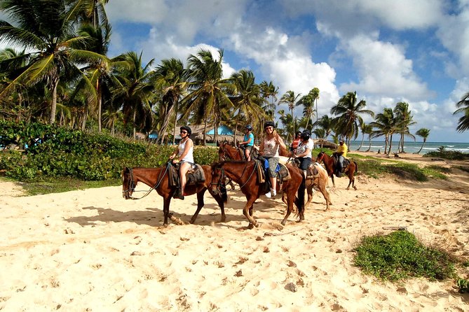 Punta Cana Beach Horse Back Ride