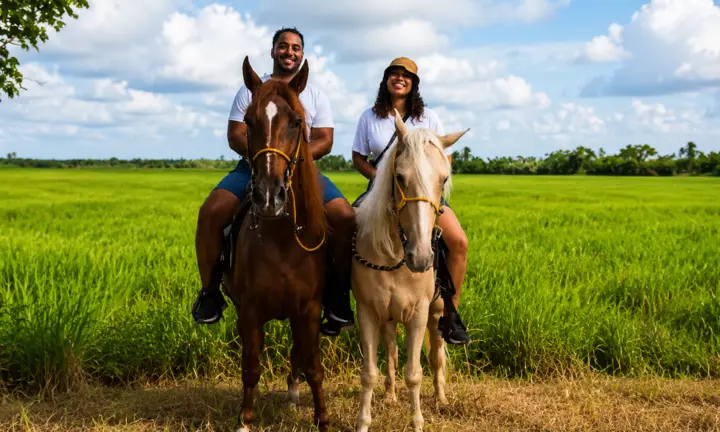 Beach horseback riding excursion in Punta Cana