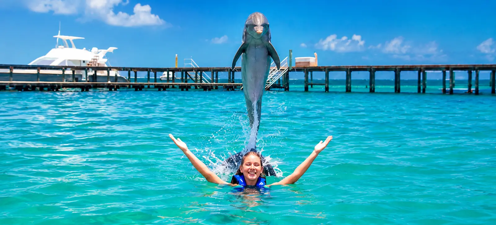 Guest swimming with a dolphin during the Dolphin Explorer Punta Cana experience