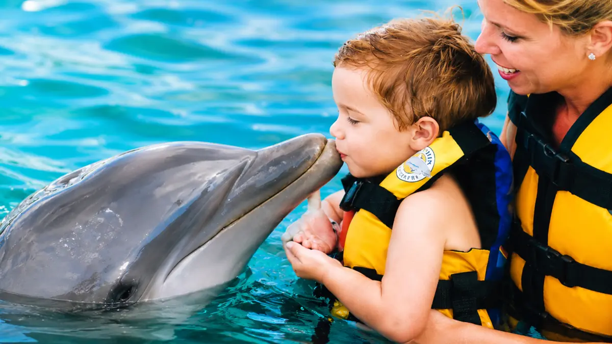 Family enjoying a supervised dolphin encounter in Punta Cana