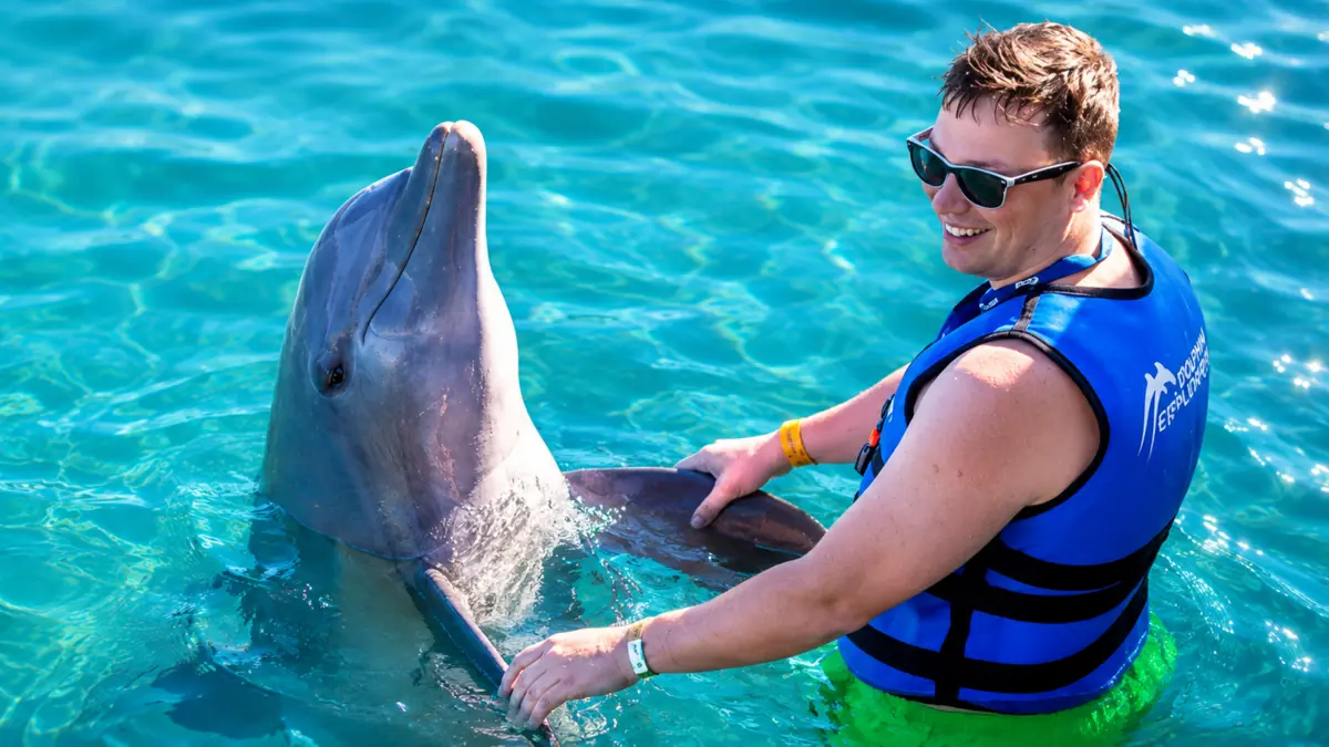 Guest interacting with a dolphin during the Funtastic program