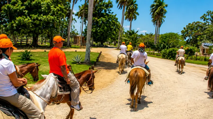 Round-trip transportation for a Punta Cana horseback riding excursion