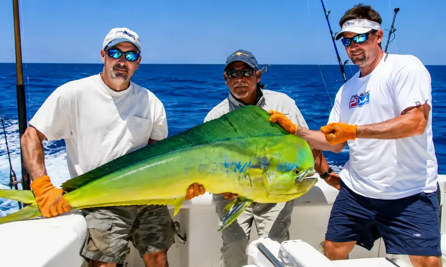 Punta Cana deep-sea sport fishing excursion